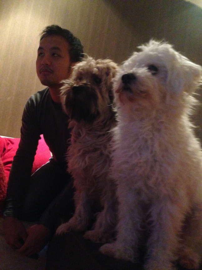 Kev with Rolly and Saku, looking longingly for Elina to return home.